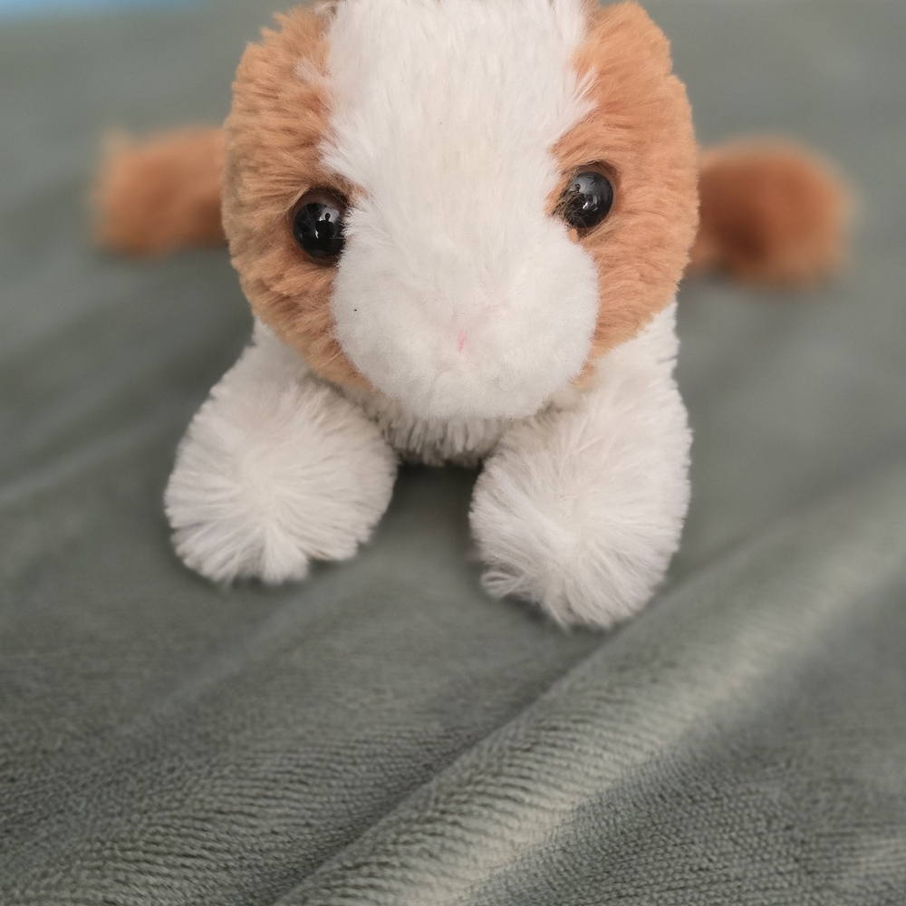 Aurora Mini Flopsie Baby Bunny stuffed animal.